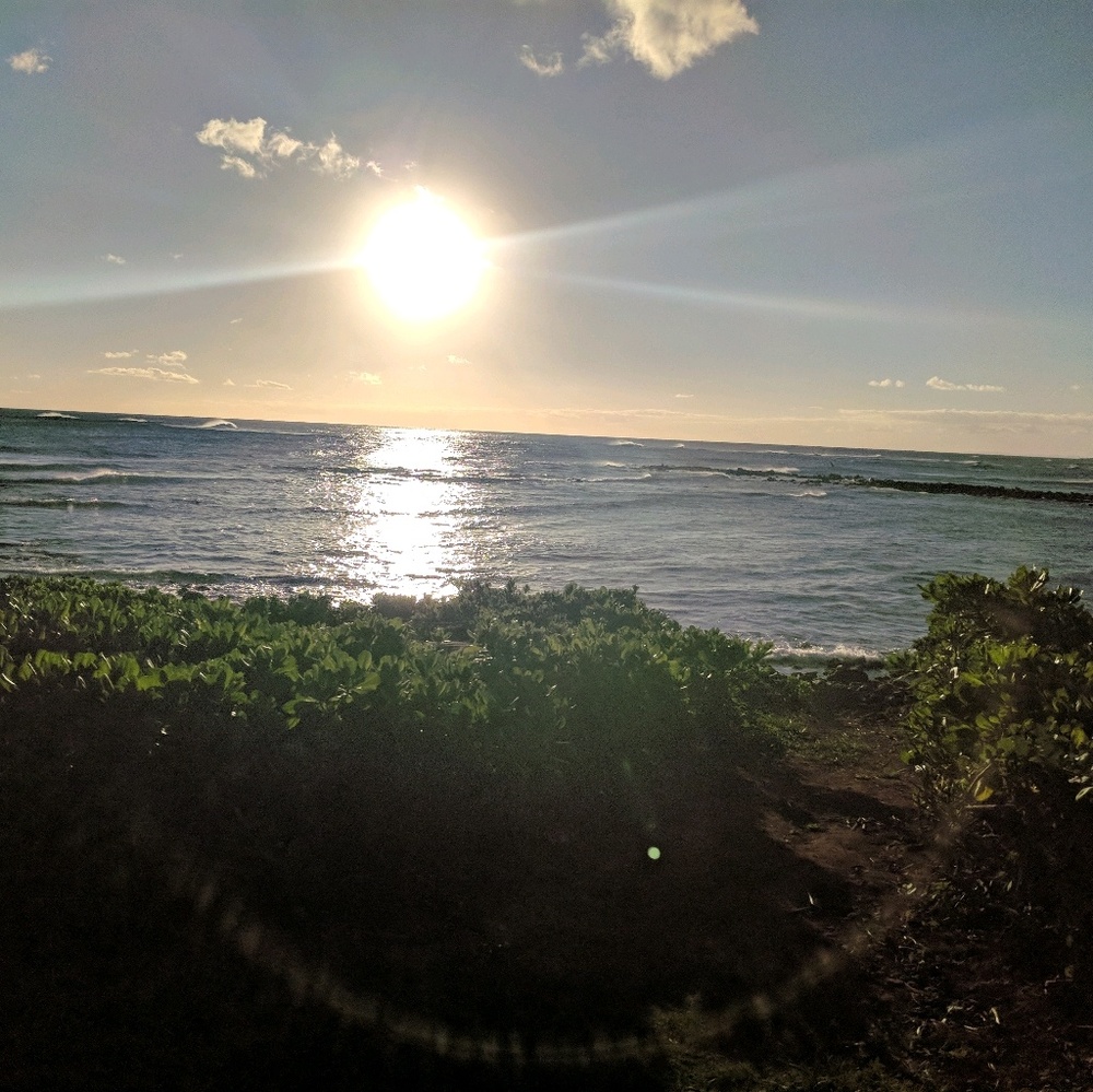 Meet your Posher, Sydney